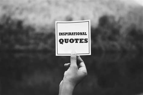 365 Quotes to Motivate Your Decision, Attention, and .